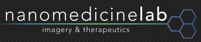 Logo nanomedecine